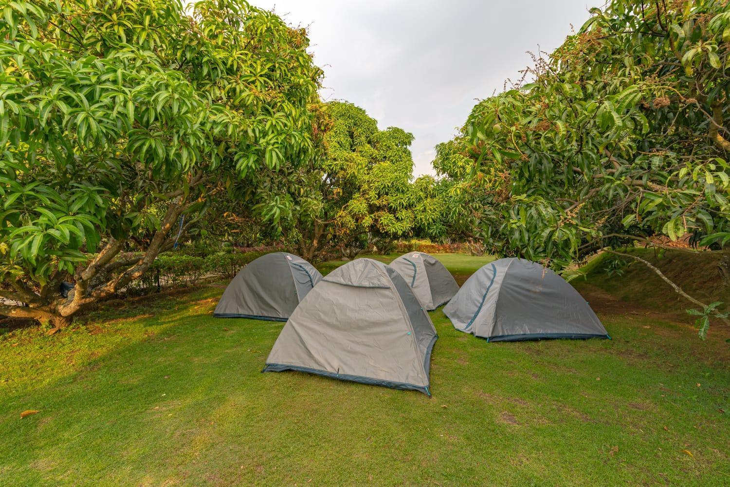 Q Mango Resort Rāmanagaram Exteriér fotografie