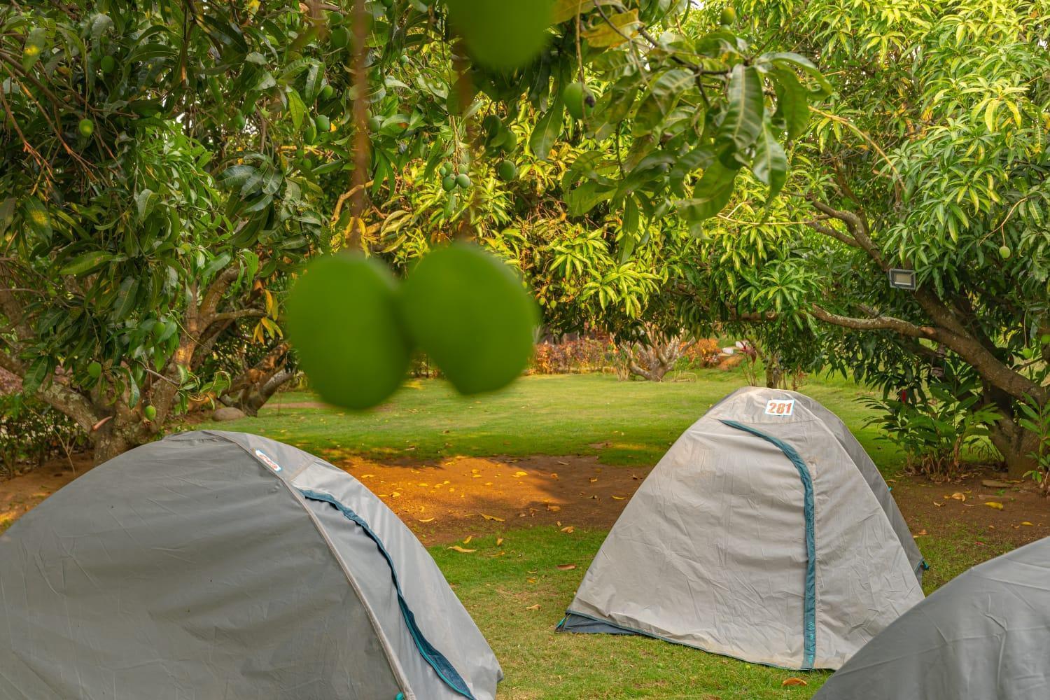 Q Mango Resort Rāmanagaram Exteriér fotografie
